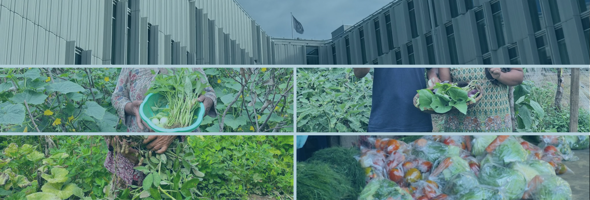 The Zero Hunger Project Works